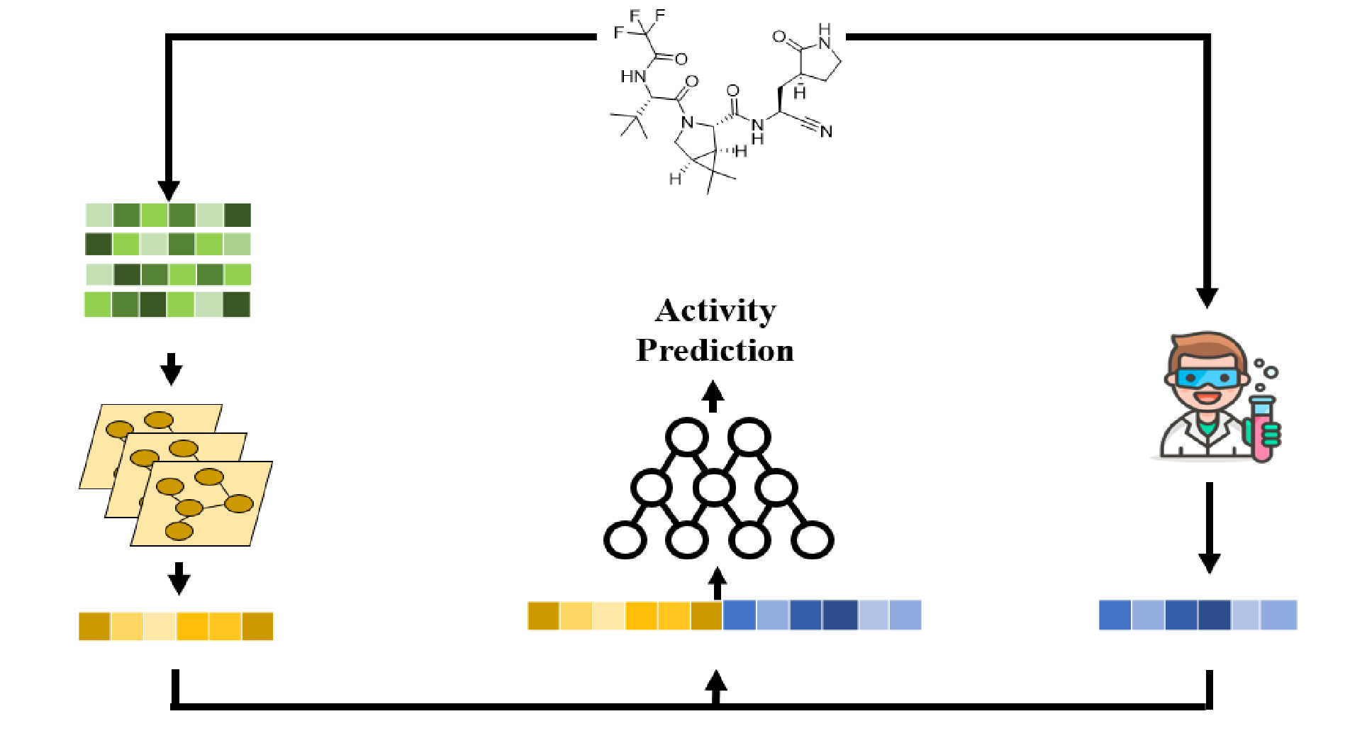 Integrating Expert Knowledge with Deep Learning Improves QSAR Models for CADD Modeling