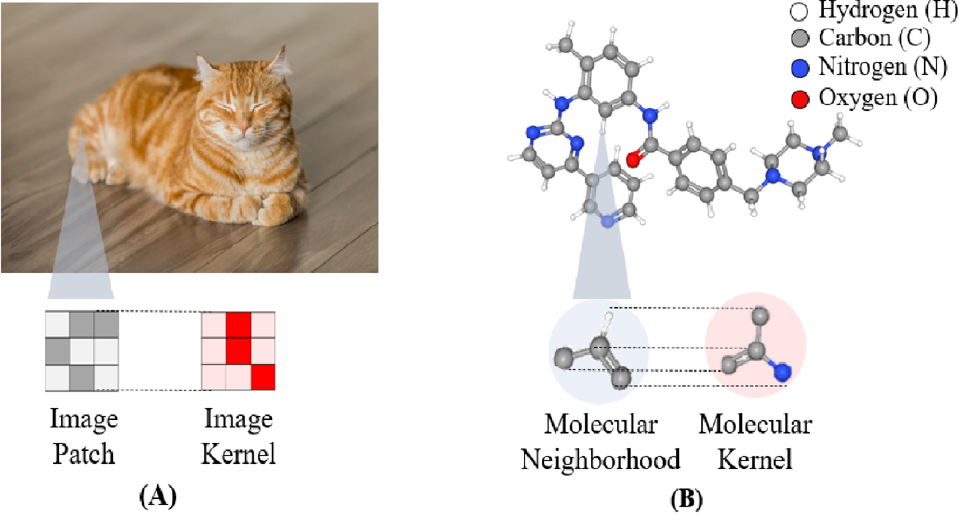 Molecular Kernel Graph Neural Network (MolKGNN)